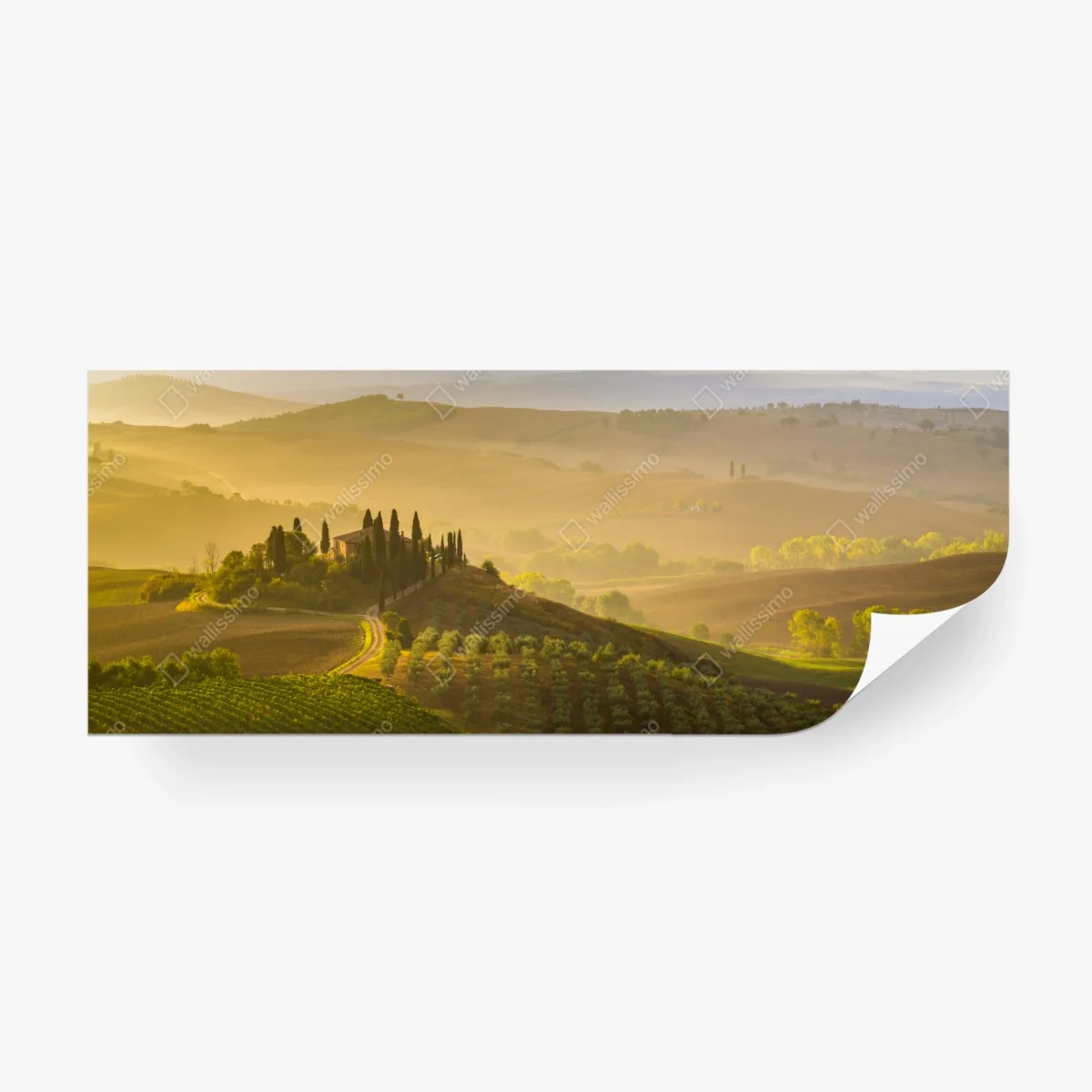 Fototapete nebliger morgen über Val d'Orcia – Wallnifity® Fototapete nebliger morgen über Val d'Orcia – Wallnifity®
