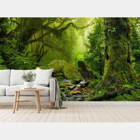 Fototapete moosbedeckter waldbach – Wallnifity®