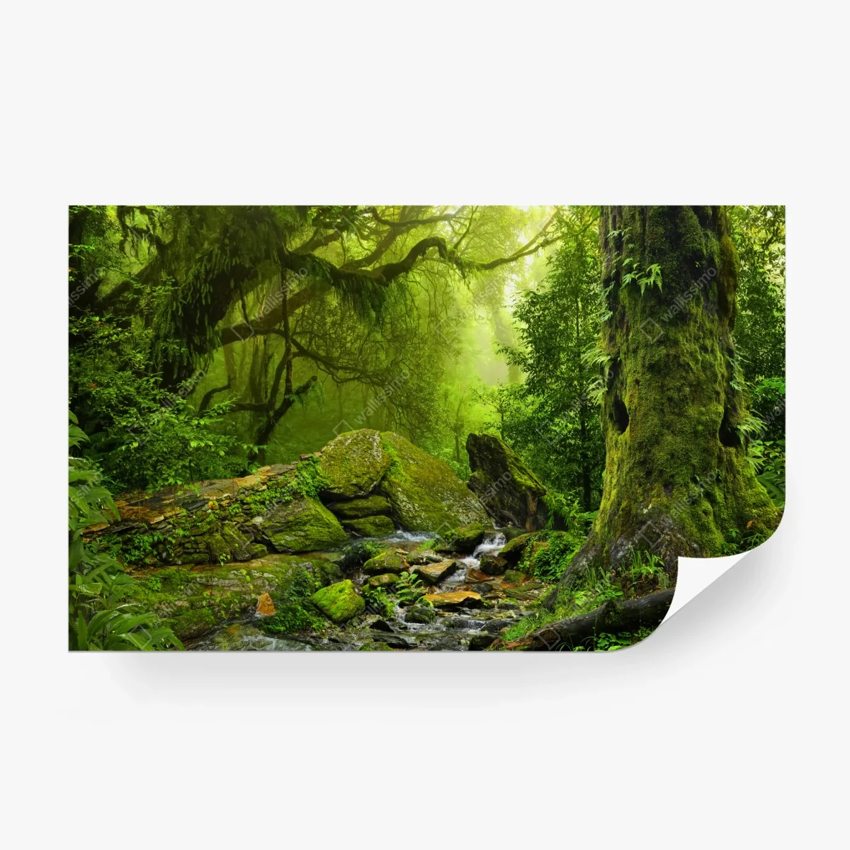 Fototapete moosbedeckter waldbach – Wallnifity®