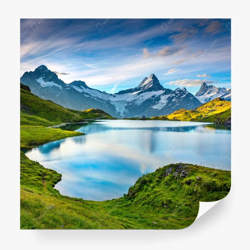 Fototapete nebliger tannenwald – Wallnifity®