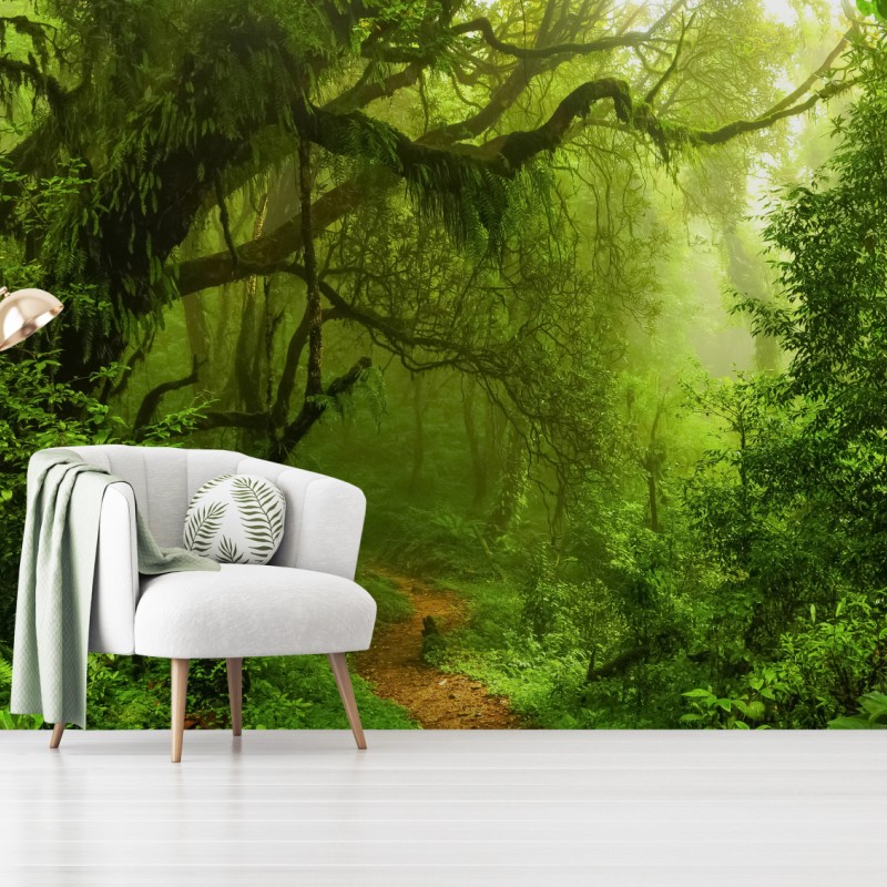 Fototapete üppiger grüner waldpfad – Wallnifity®