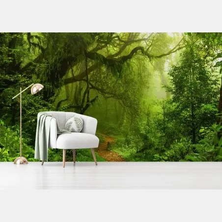 Fototapete üppiger grüner waldpfad – Wallnifity®