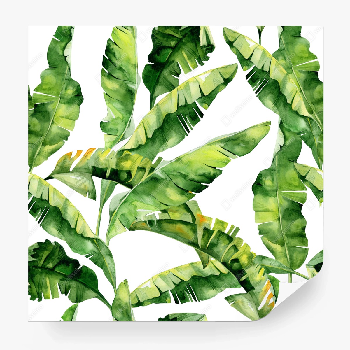 Fototapete tropisches bananenblatt aquarellmuster – Wallnifity®