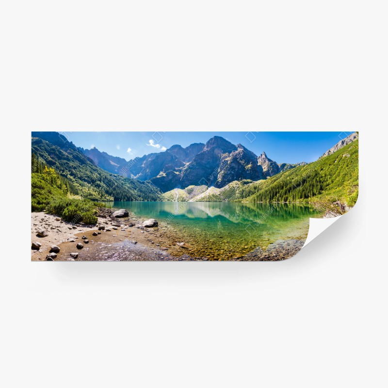 Fototapete zarter eukalyptus-aquarell blättermuster – Wallnifity®