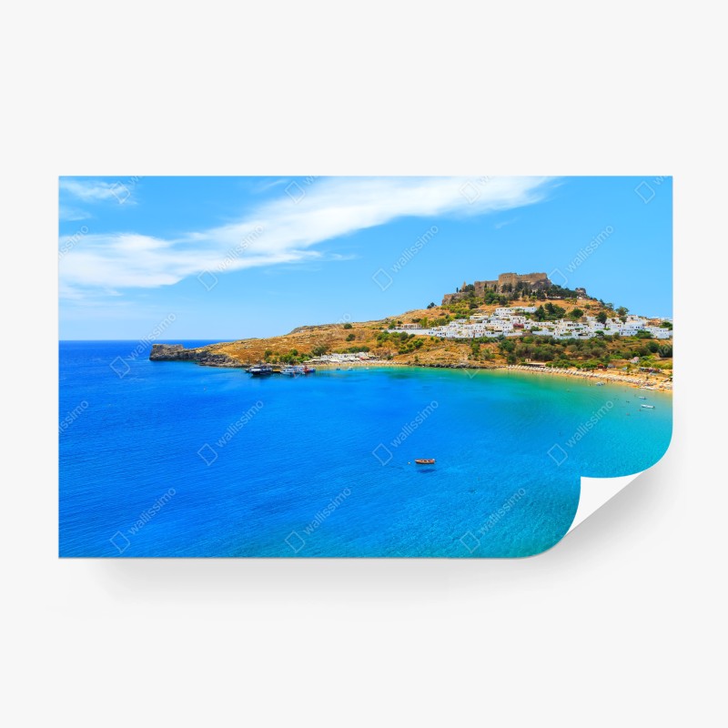 Fototapete zarte löwenzahnsamen in monochrom – Wallnifity®