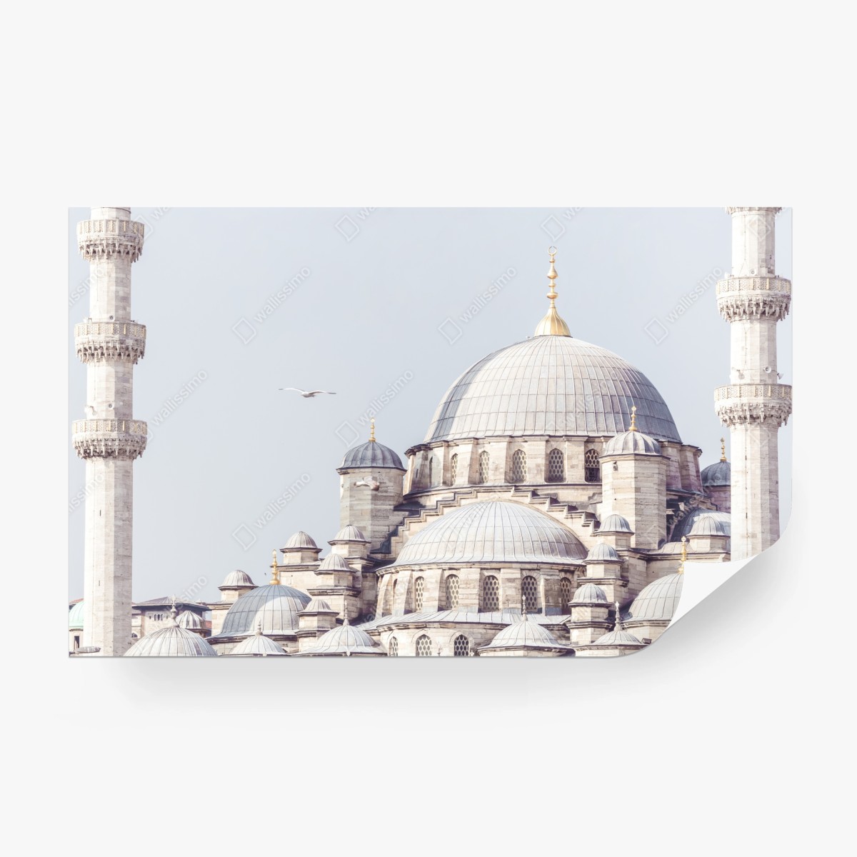 Fototapete Istanbul moschee kupeln im sanften licht – Wallnifity®