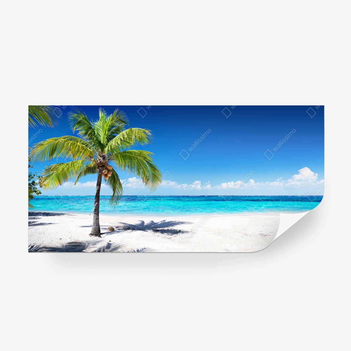 Fototapete tropische palme an einer türkisfarbenen bucht – Wallnifity®