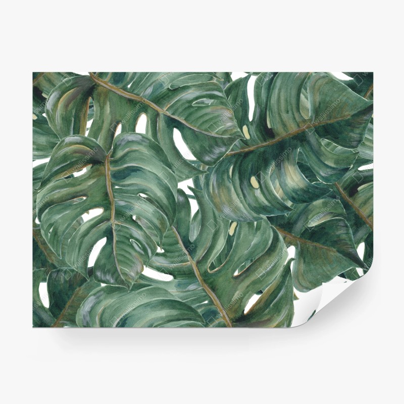 Fototapete monstera blätter in aquarell