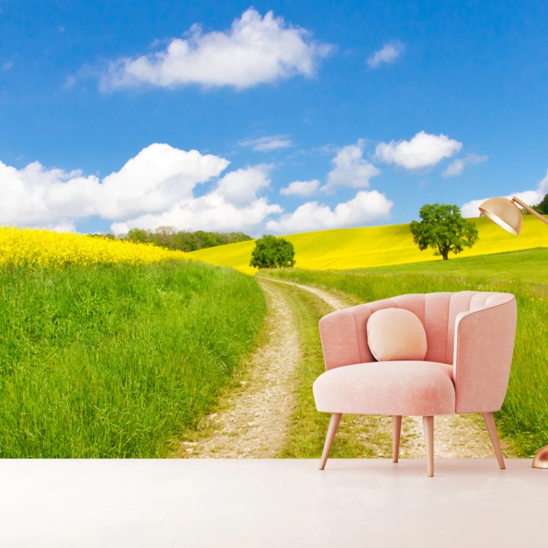 Fototapete sonniger landeweg durch gelbe felder – Wallnifity®