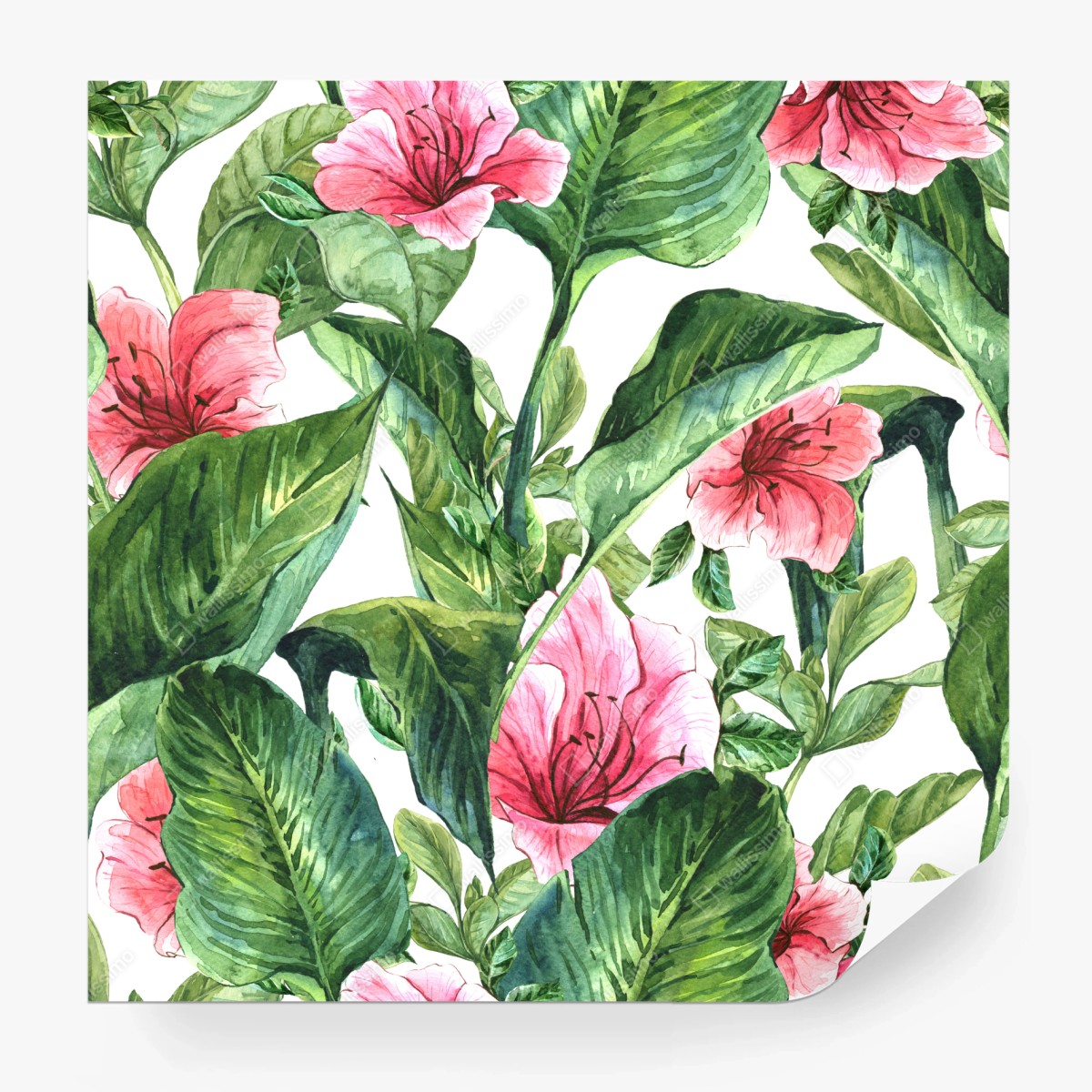 Fototapete rosa aquarell blumen botanikmotiv – Wallnifity®