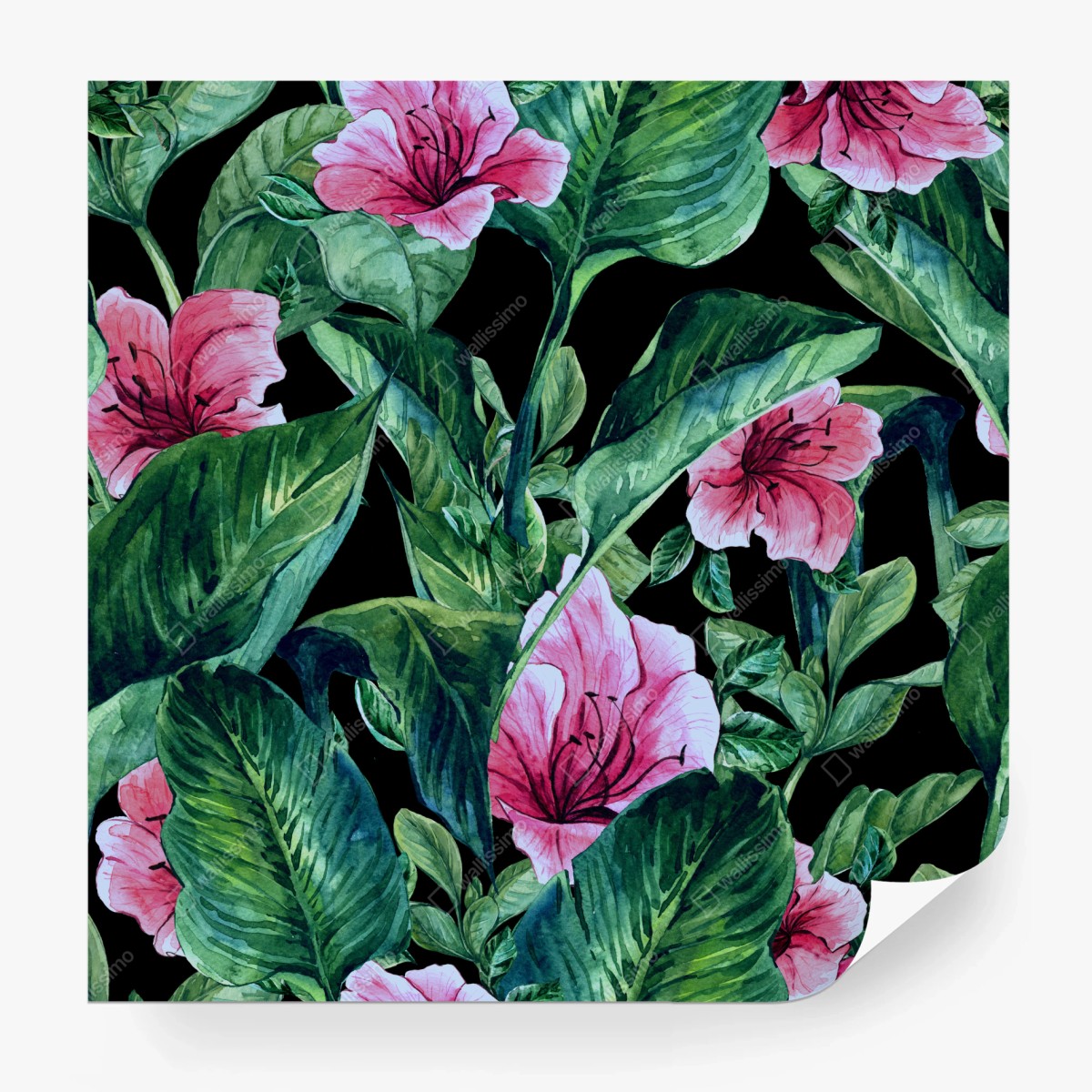 Fototapete rosa aquarellblumen auf schwarzem hintergrund – Wallnifity®