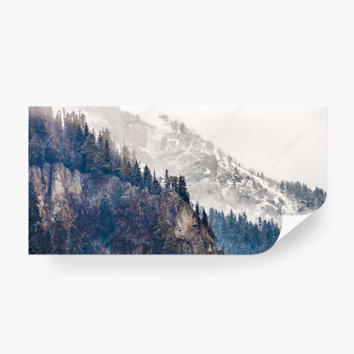 Fototapete nebliger berg mit felsklippe und kieferwald – Wallnifity®