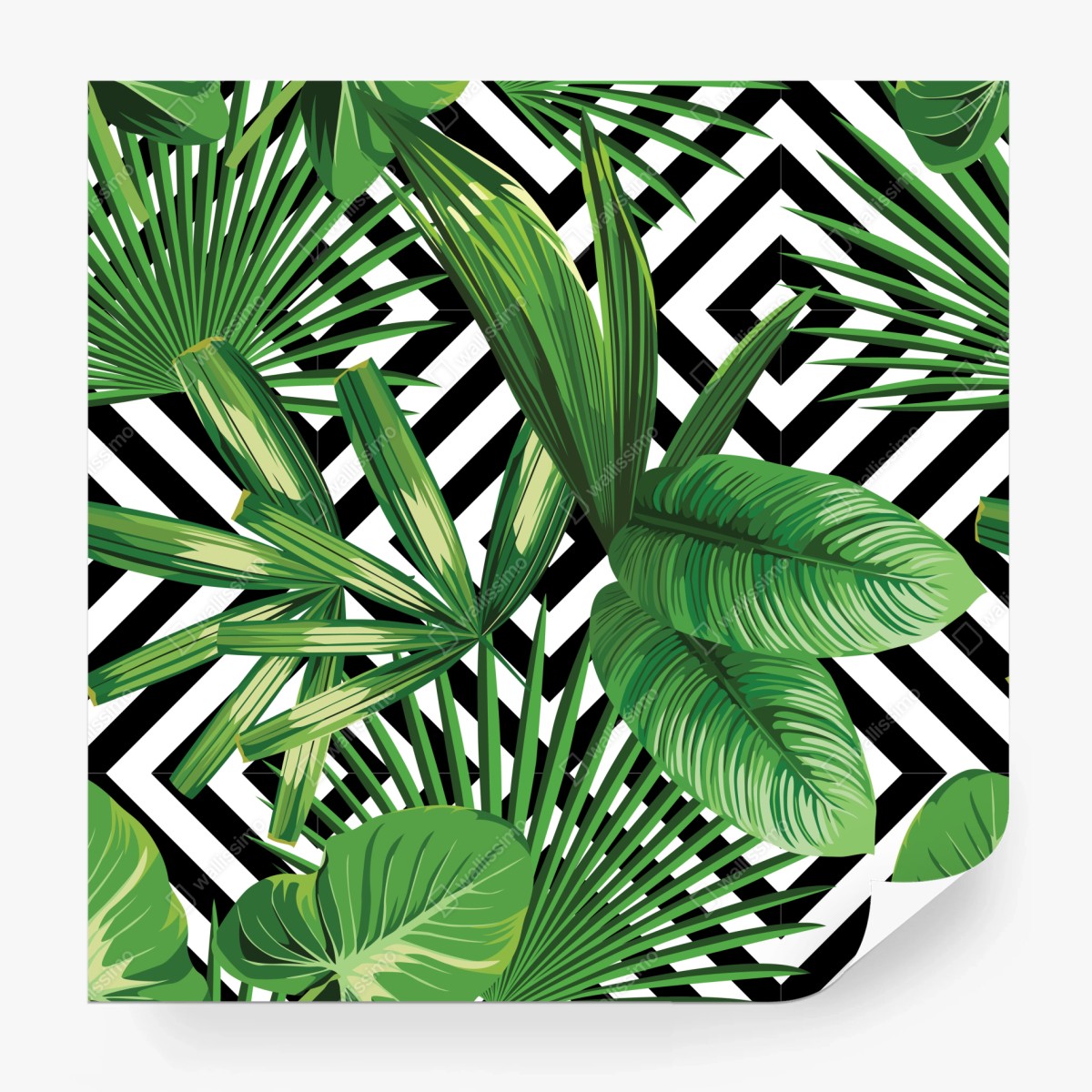 Fototapete tropische blätter mit geometrischem muster – Wallnifity®