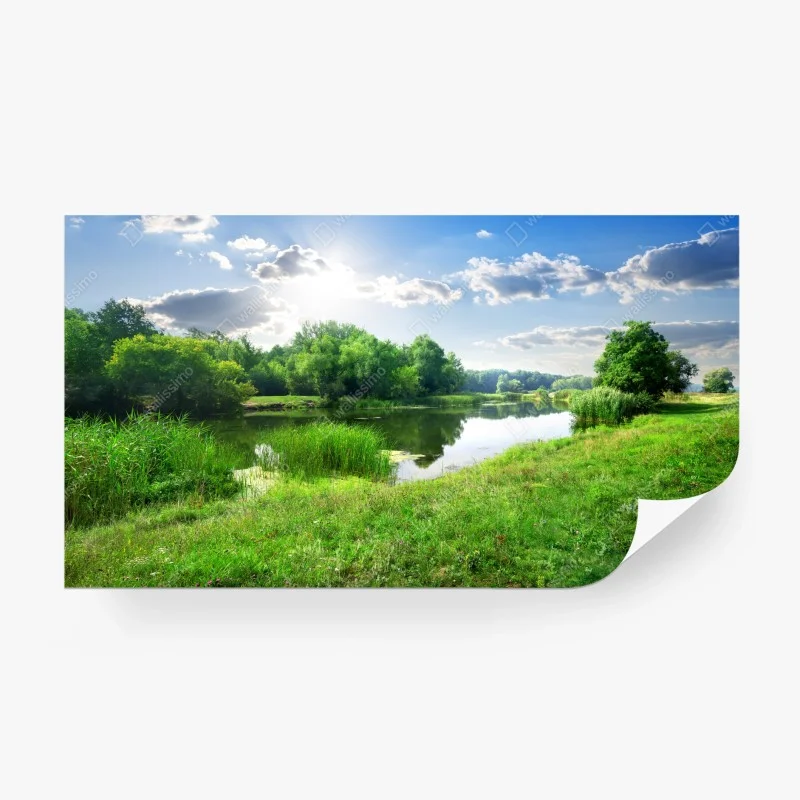 Fototapete sonnige wiese am fluss