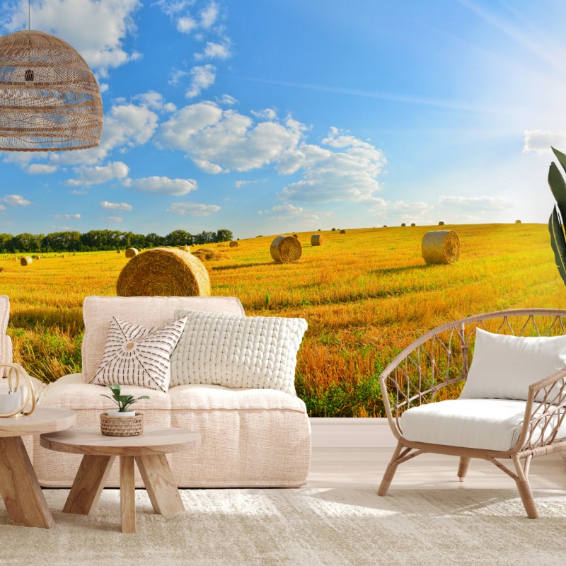 Fototapete goldenes heufeld unter blauem himmel – Wallnifity®