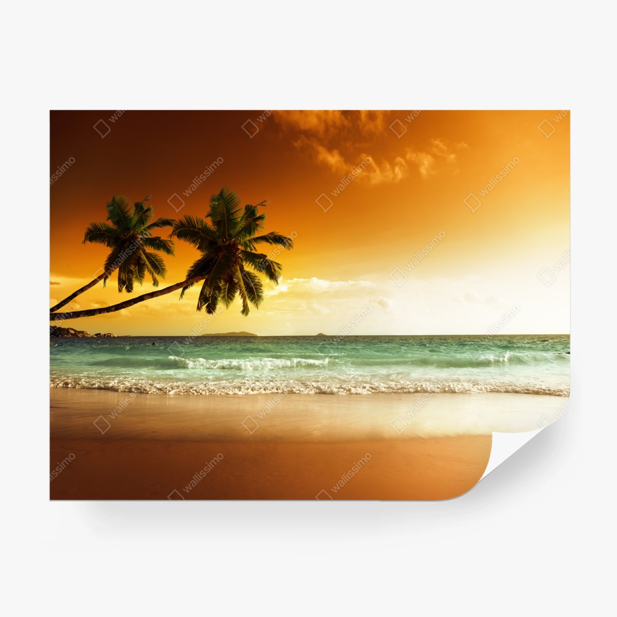 Fototapete karibischer sonnenuntergang am strand mit palmen – Wallnifity®