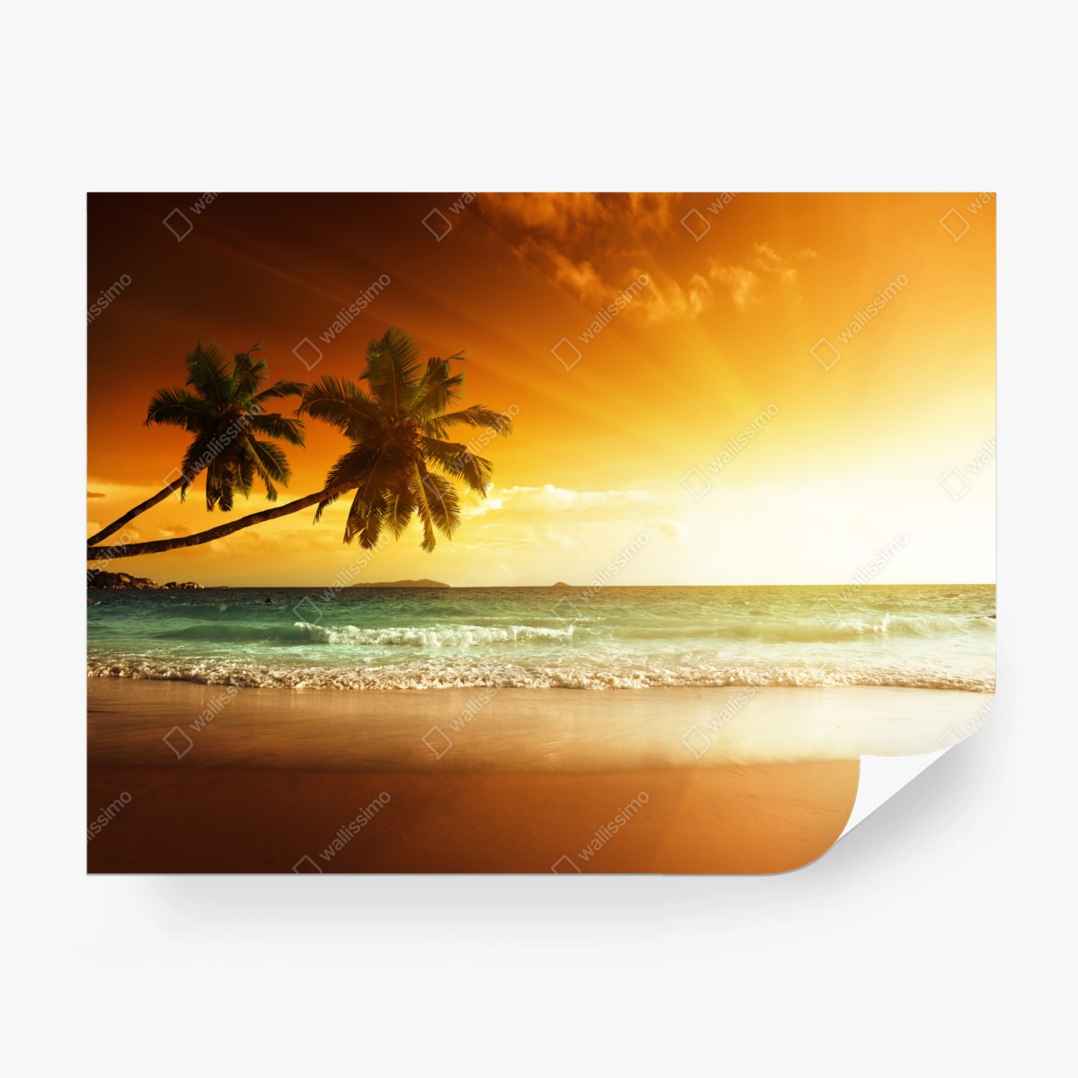 Fototapete tropischer sonnenuntergang am strand – Wallnifity®