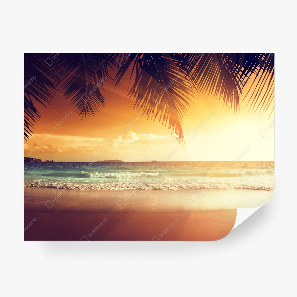 Fototapete strand bei sonnenuntergang in der Karibik – Wallnifity®