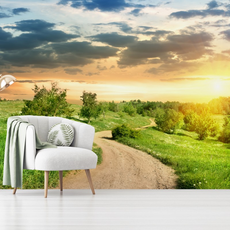 Fototapete sonnenuntergang über einem feldweg durch grüne wiese – Wallnifity®
