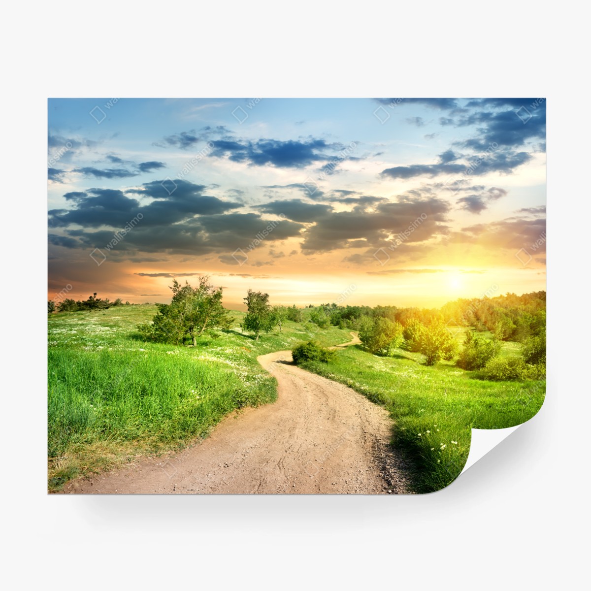 Fototapete sonnenuntergang über einem feldweg durch grüne wiese – Wallnifity®