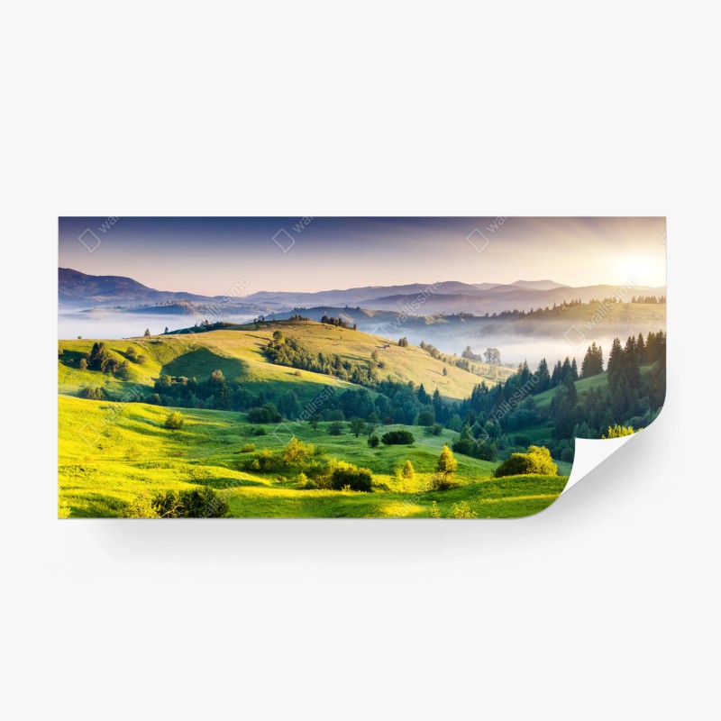 Fototapete aquarellmuster mit vögeln und rosen – Wallnifity®