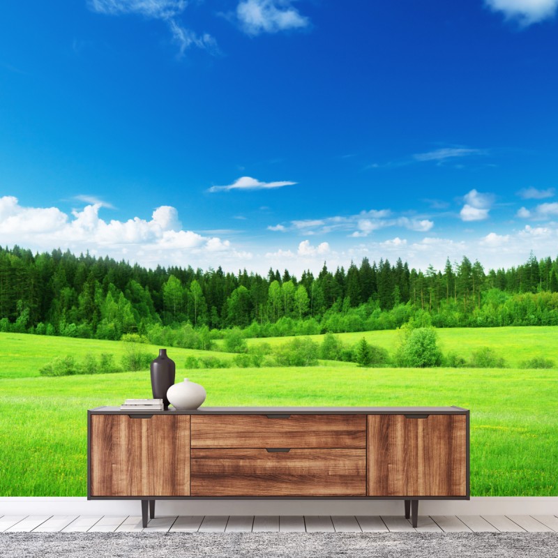 Fototapete frühlingswiese unter blauem himmel – Wallnifity®