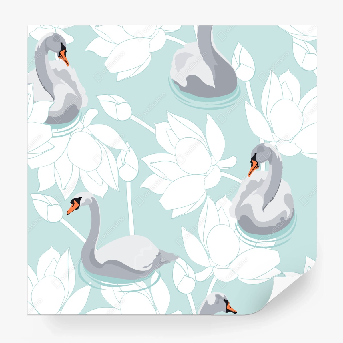 Fototapete sanfte schwäne und lotusblumen – Wallnifity®