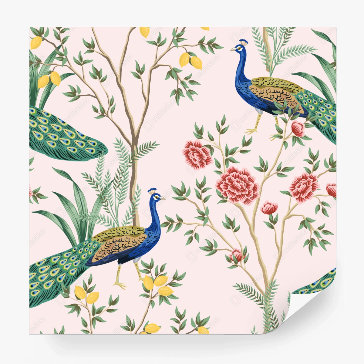 Fototapete elegantes pfau- und blumenmuster auf rosa hintergrund – Wallnifity®