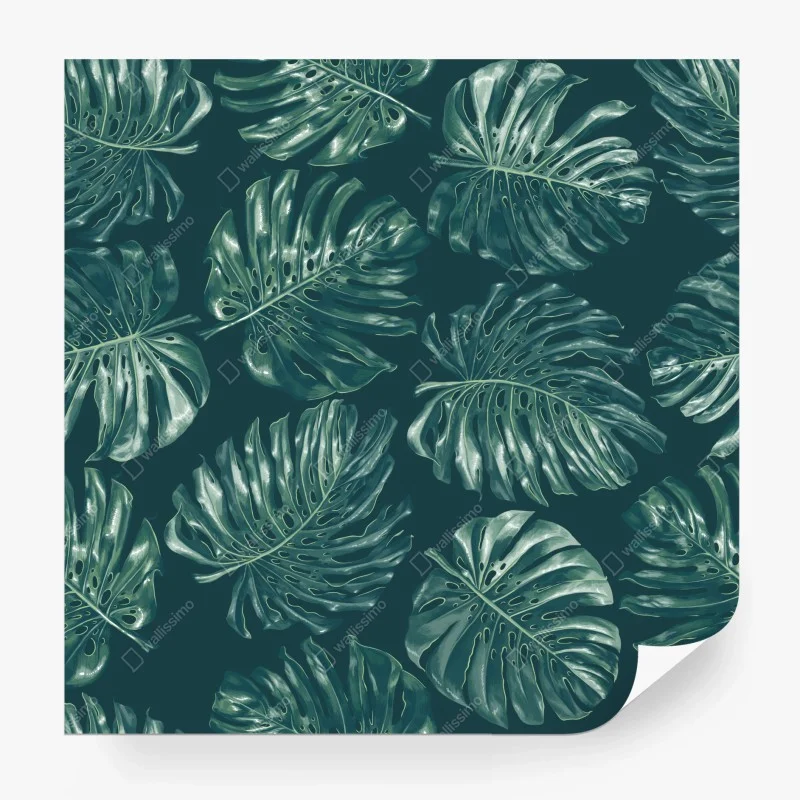 Fototapete tropisches monstera-blattmuster – Wallnifity® Fototapete tropisches monstera-blattmuster – Wallnifity®