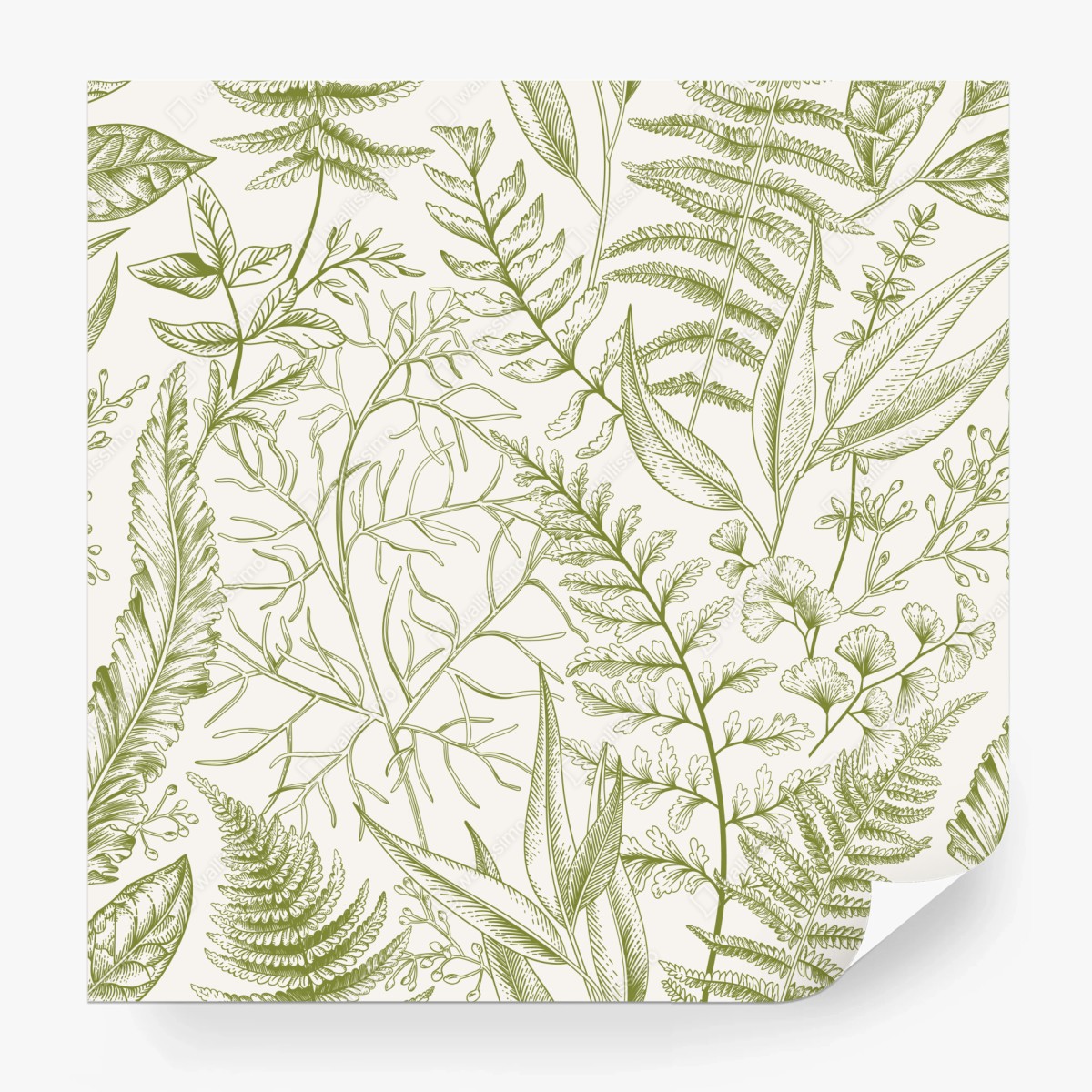 Fototapete handgezeichnetes grünes blättermotiv – Wallnifity®