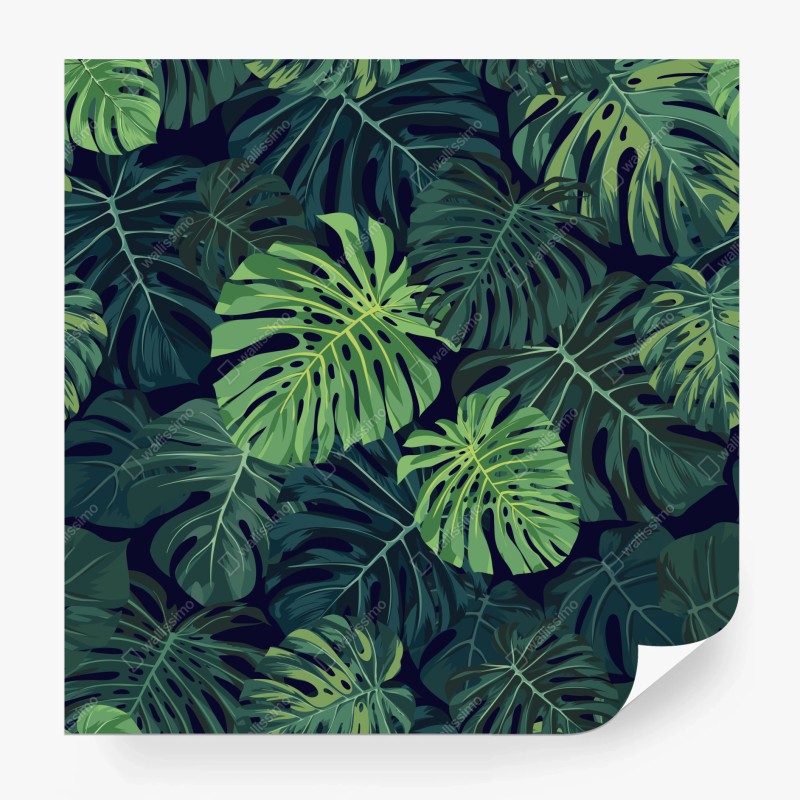 Fototapete monstera blätter in aquarell – Wallnifity®