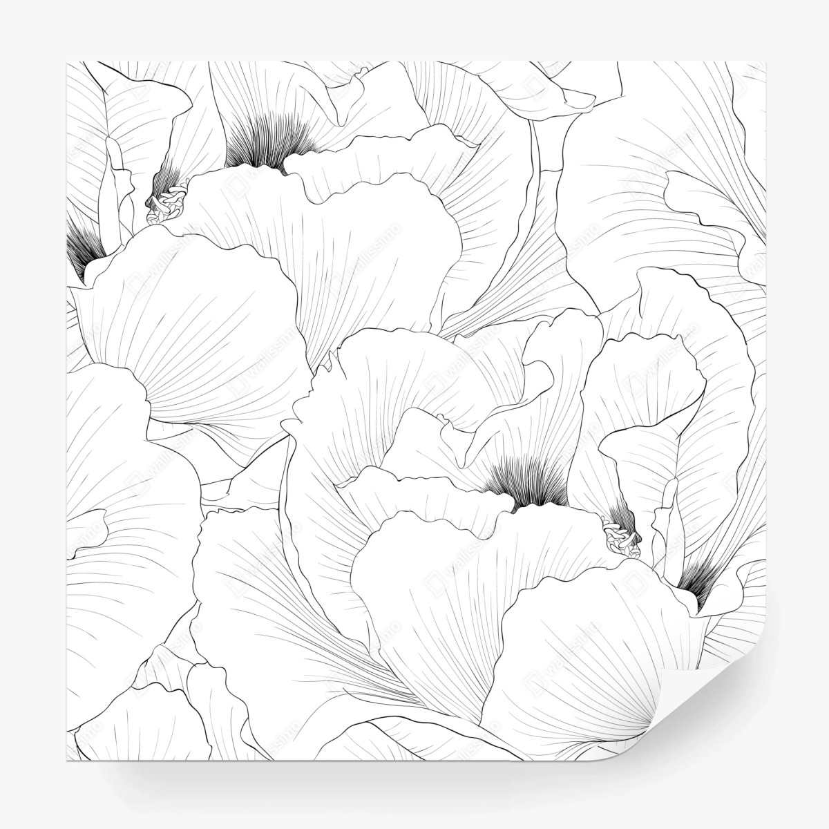 Fototapete feine botanische linienzeichnung mit blumen – Wallnifity®