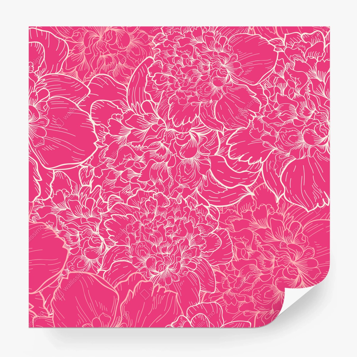 Fototapete leuchtendes rosa pfingstrosenmuster – Wallnifity®