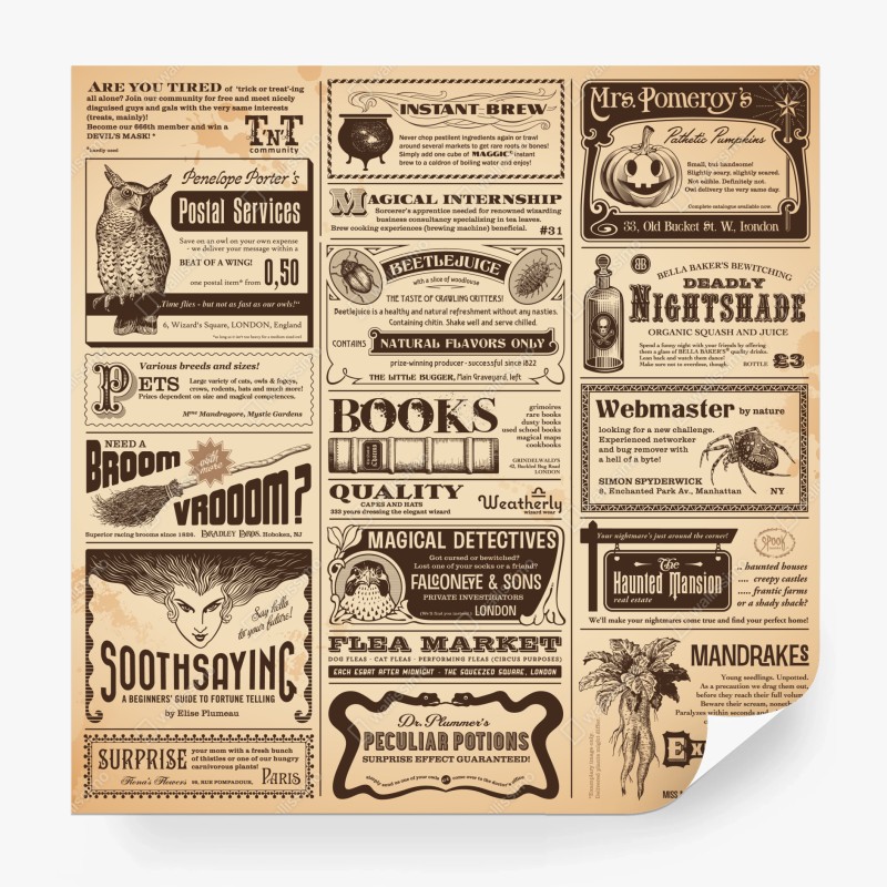 Fototapete skandinavischer birkenwald – Wallnifity®