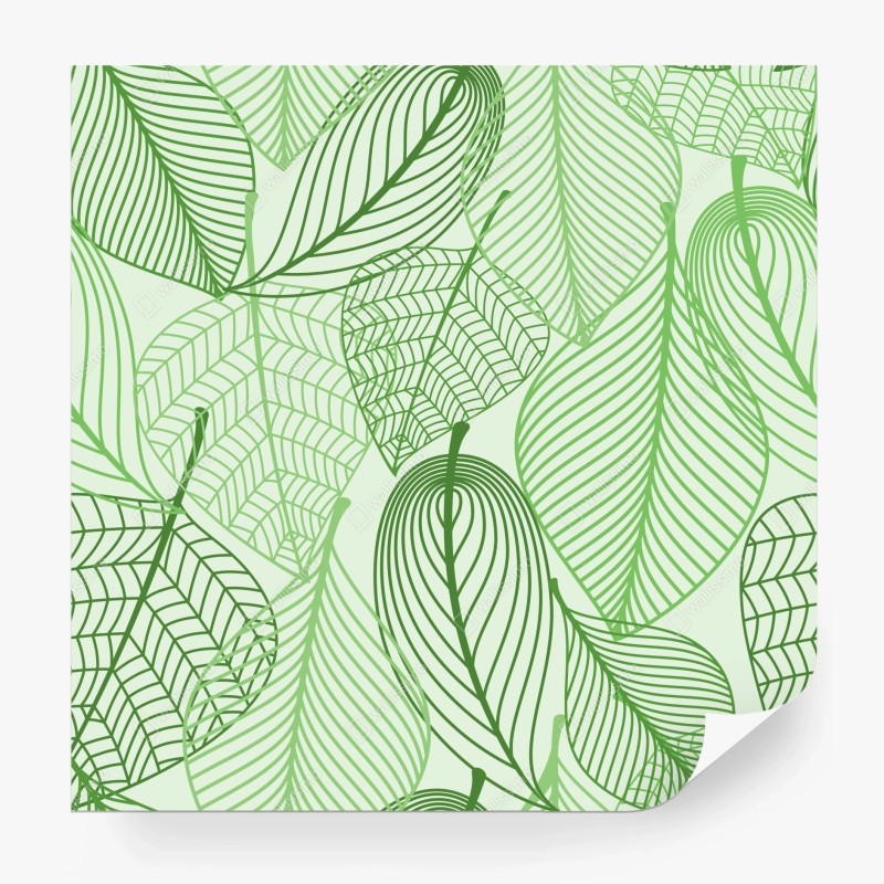 Fototapete sonnenbeschienenes rapsfeld im abendlicht – Wallnifity®