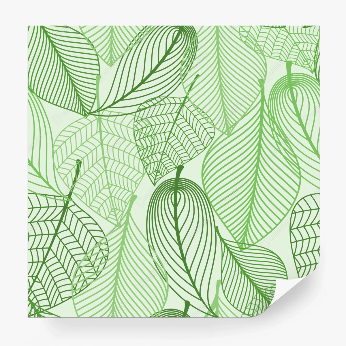 Fototapete grünes botanisches blättermuster – Wallnifity®