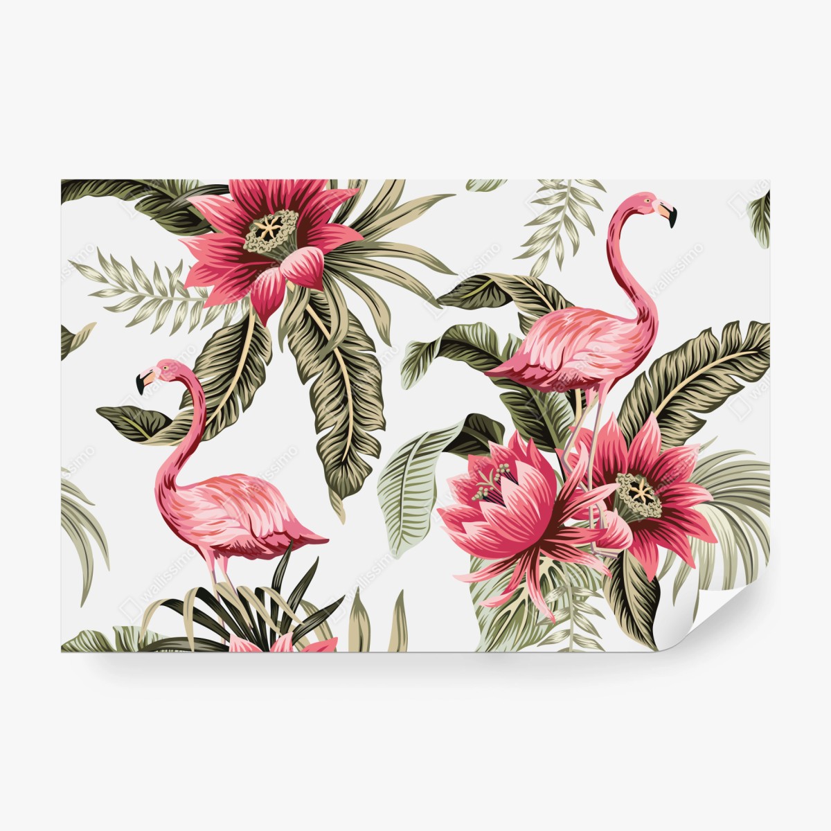 Fototapete tropische rosa flamingos und blüten – Wallnifity®