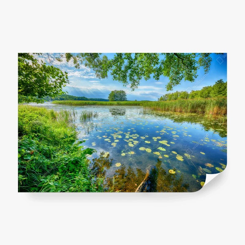Fototapete sommer am Masurensee