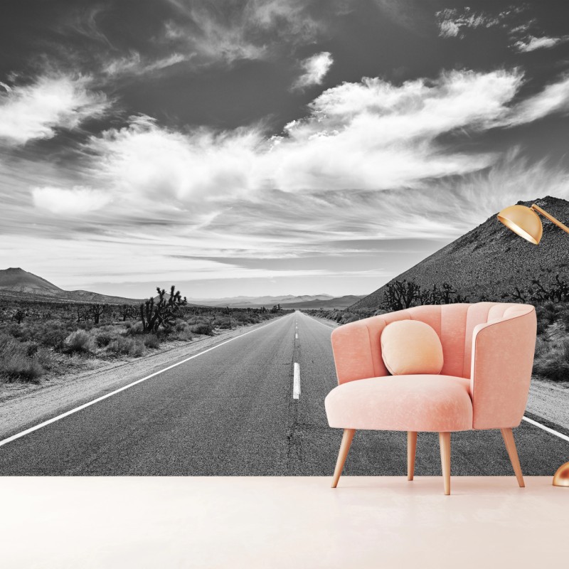 Fototapete Death Valley offene Straße in schwarzweiß – Wallnifity®