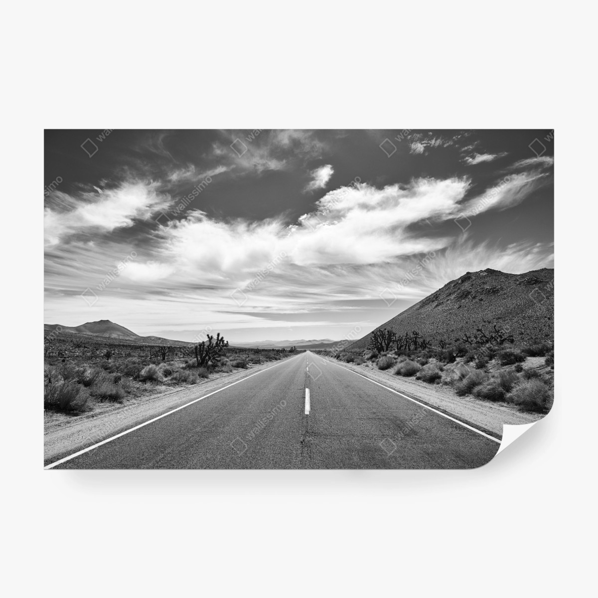 Fototapete Death Valley offene Straße in schwarzweiß – Wallnifity®