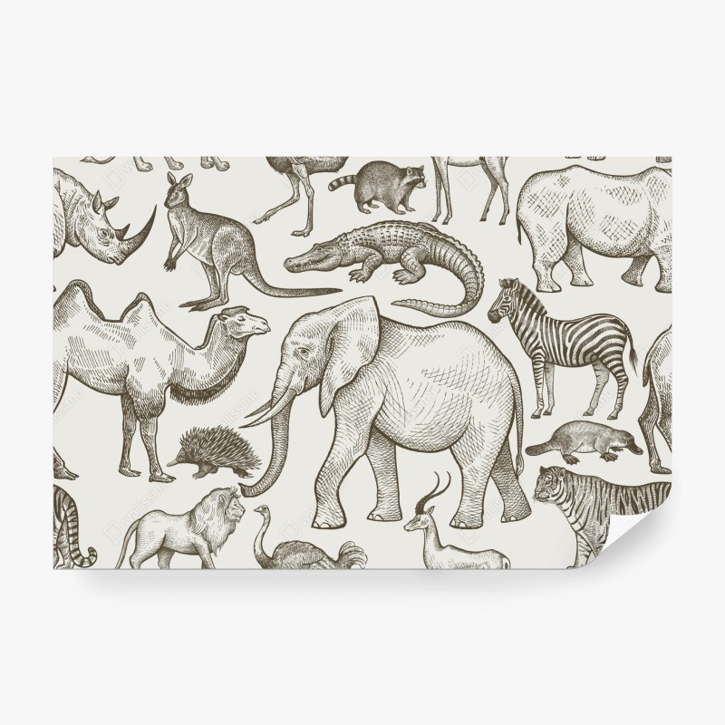 Fototapete treibholz bei dämmerung am ruhigen strand – Wallnifity®