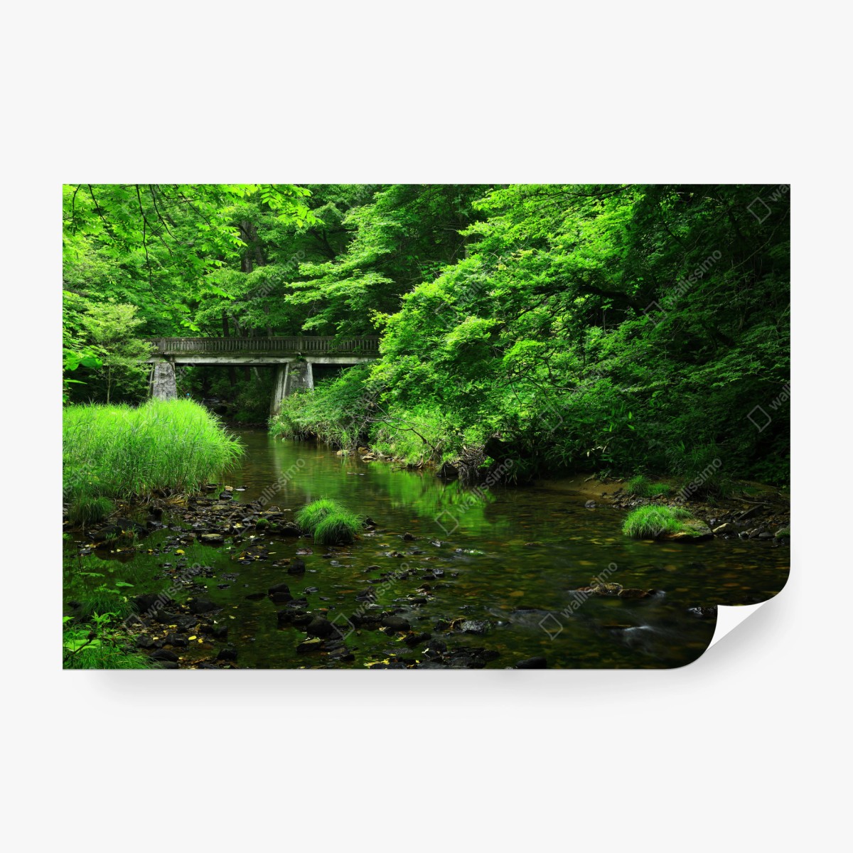 Fototapete üppiger grüner waldbach mit steinbrücke – Wallnifity®