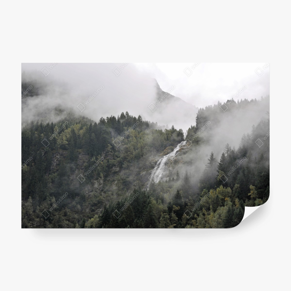 Fototapete nebliger wasserfall im bergwald – Wallnifity®