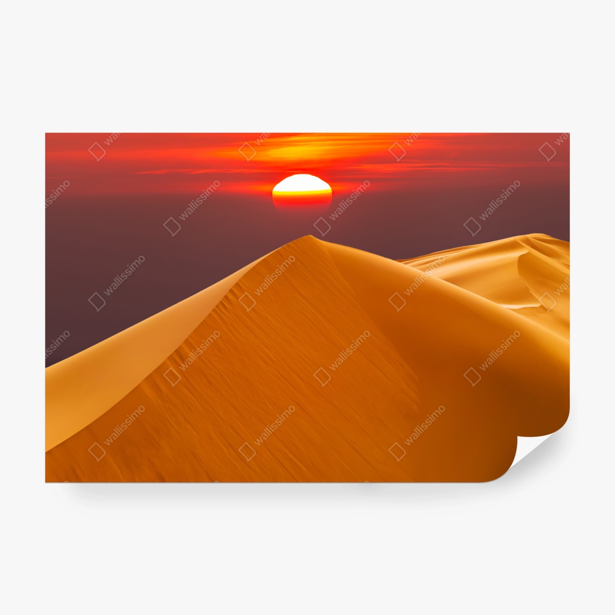 Fototapete goldener sonnenuntergang über sanddünen – Wallnifity®