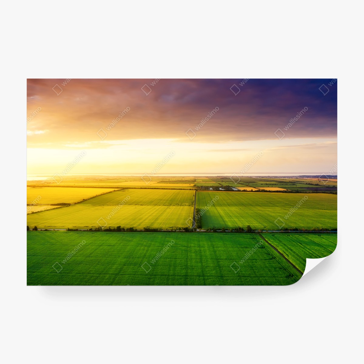 Fototapete sonnenuntergang über grünen feldern – Wallnifity®