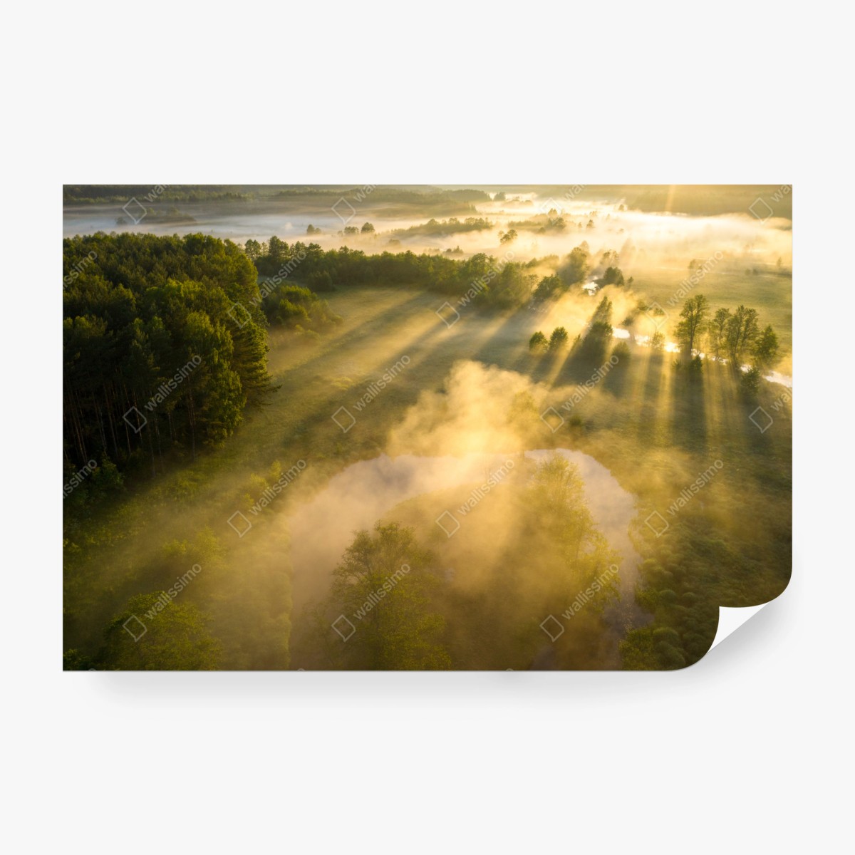 Fototapete goldener morgen über nebligem fluss – Wallnifity®