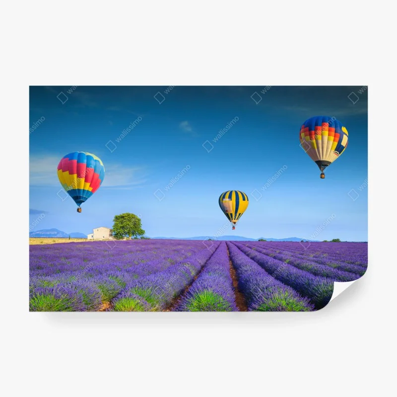 Fototapete lavendelfelder bei Valensole mit luftballons