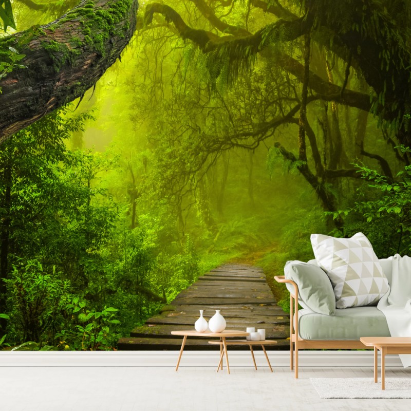 Fototapete mystischer grüner waldpfad – Wallnifity®