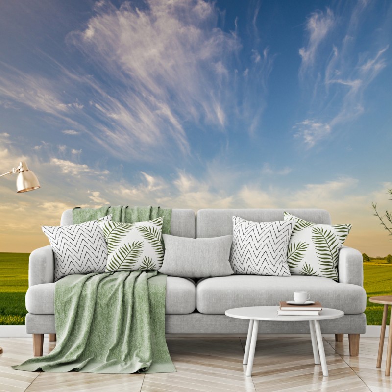 Fototapete grüne wiese mit einer reihe junger bäume – Wallnifity®