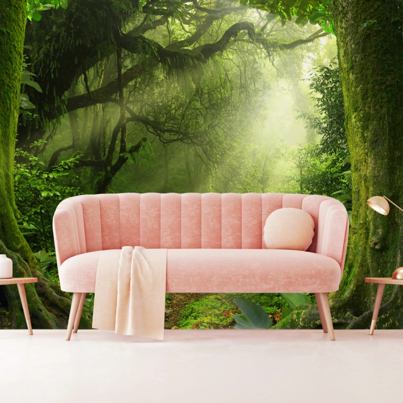 Fototapete sonnenbeschienener moosiger waldpfad – Wallnifity®